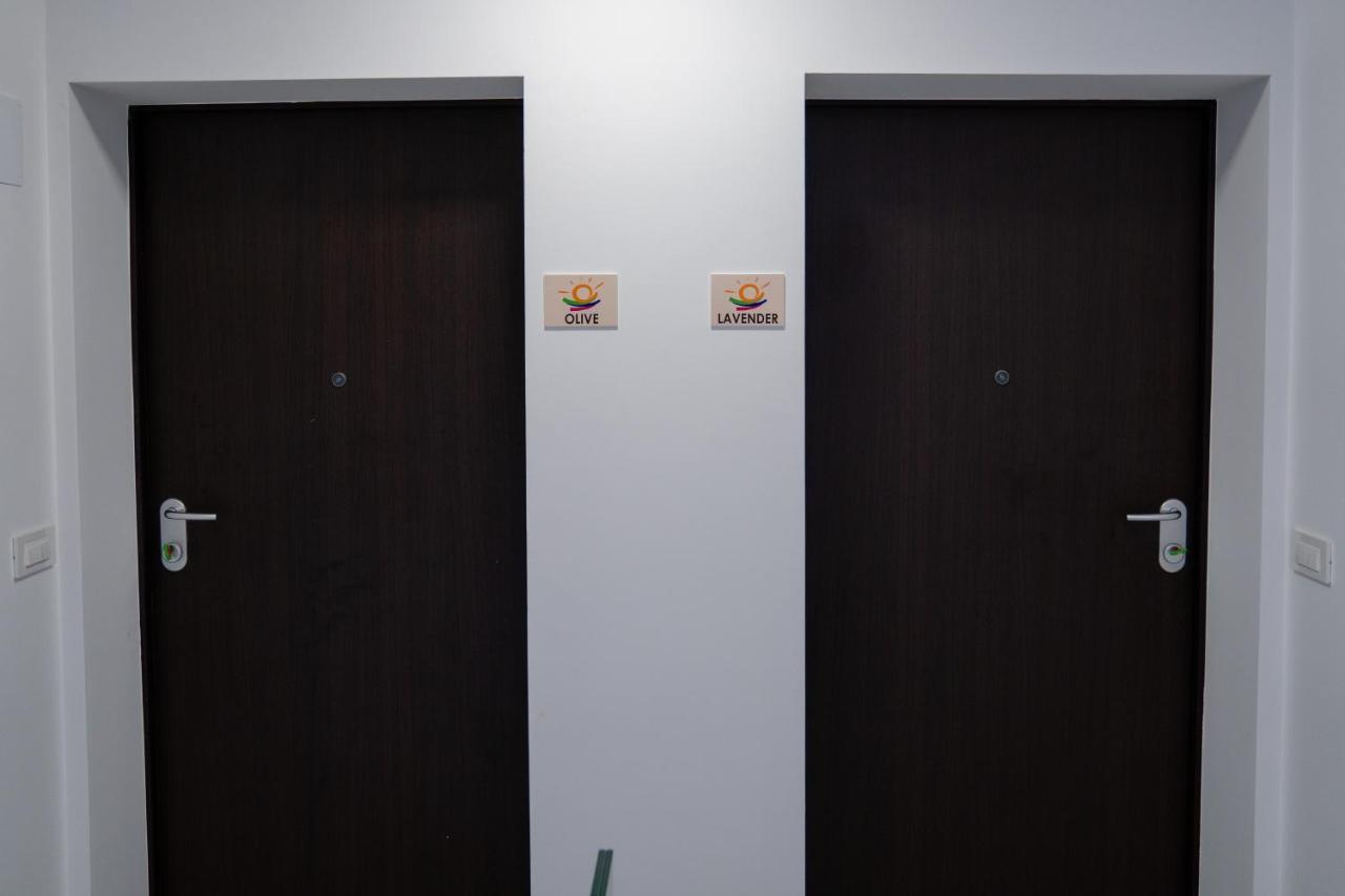Apartments Mandre II 객실 사진